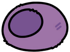 03felt_dome_mu_repair
