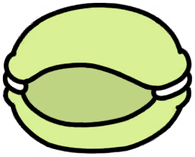 Cat Macaron (Green)