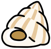 Shell Tunnel (White)
