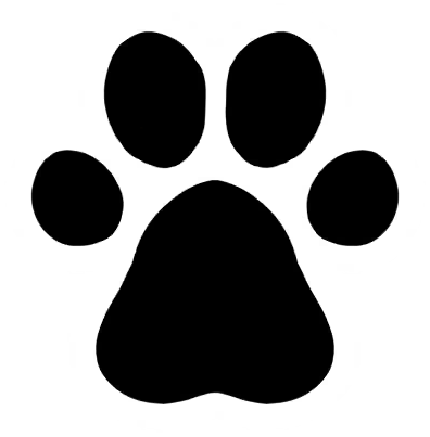 Paw Pad 3