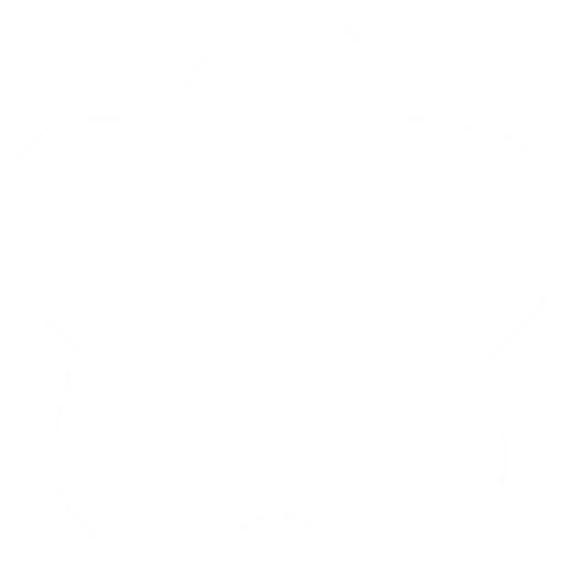 Borderless Star 2