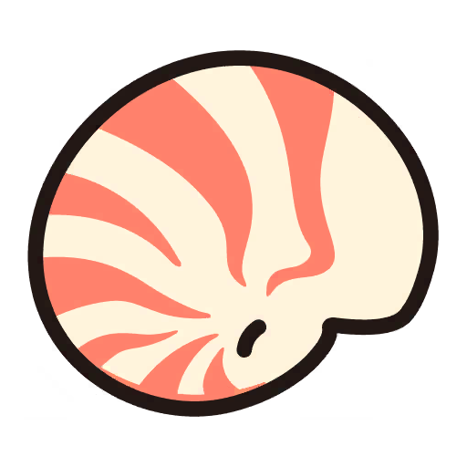 Shell 6