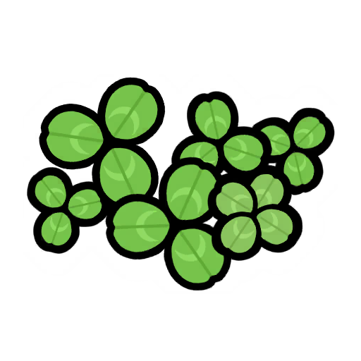 Clovers
