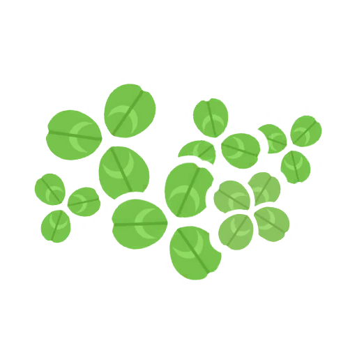 Clovers