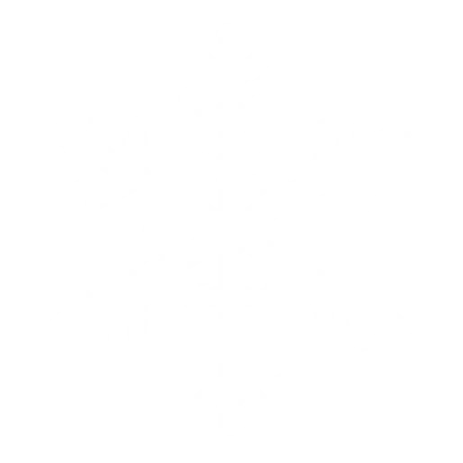 Snowflake 1