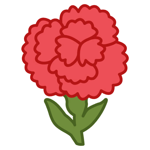 Large Carnation 1