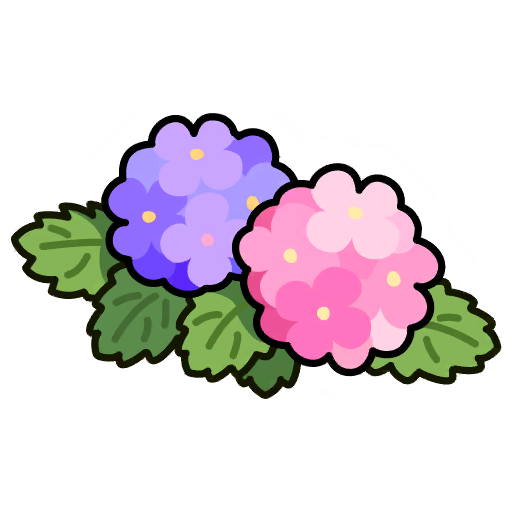 Hydrangea 1