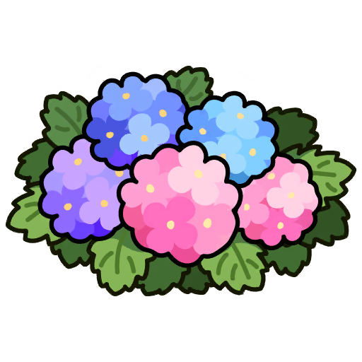 Hydrangea 3