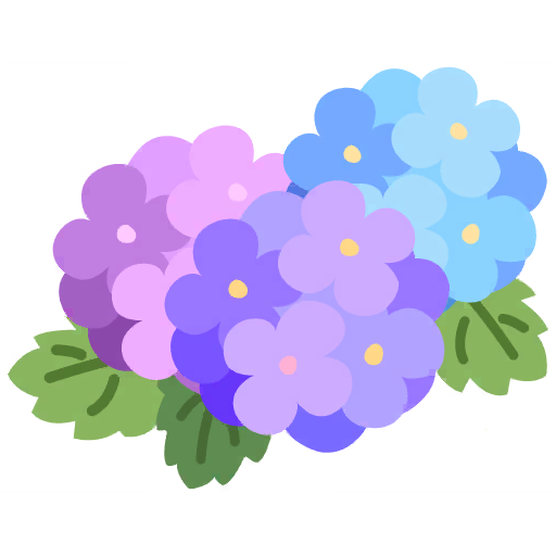 Hydrangea 6